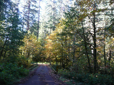 P1130260_副本.jpg (331.82 KiB) Viewed 57355 times Fall Creek Oct.22, 2011