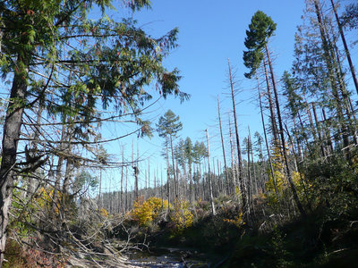 P1130281_副本.jpg (307.96 KiB) Viewed 57357 times Fall Creek Oct.22, 2011