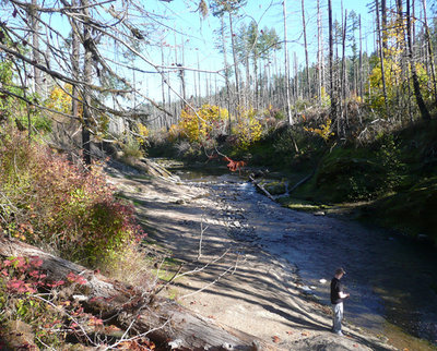 P1130277_副本.jpg (269.95 KiB) Viewed 43582 times Fall Creek...Oct.22, 2011