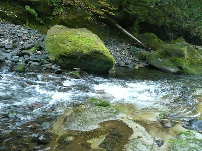 P1130197_副本.jpg (209.54 KiB) Viewed 49981 times Fall Creek...Oct.22, 2011